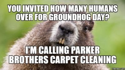 Carpet Cleaning for Groundhog Day | Parker Brothers Carpet Cleaning